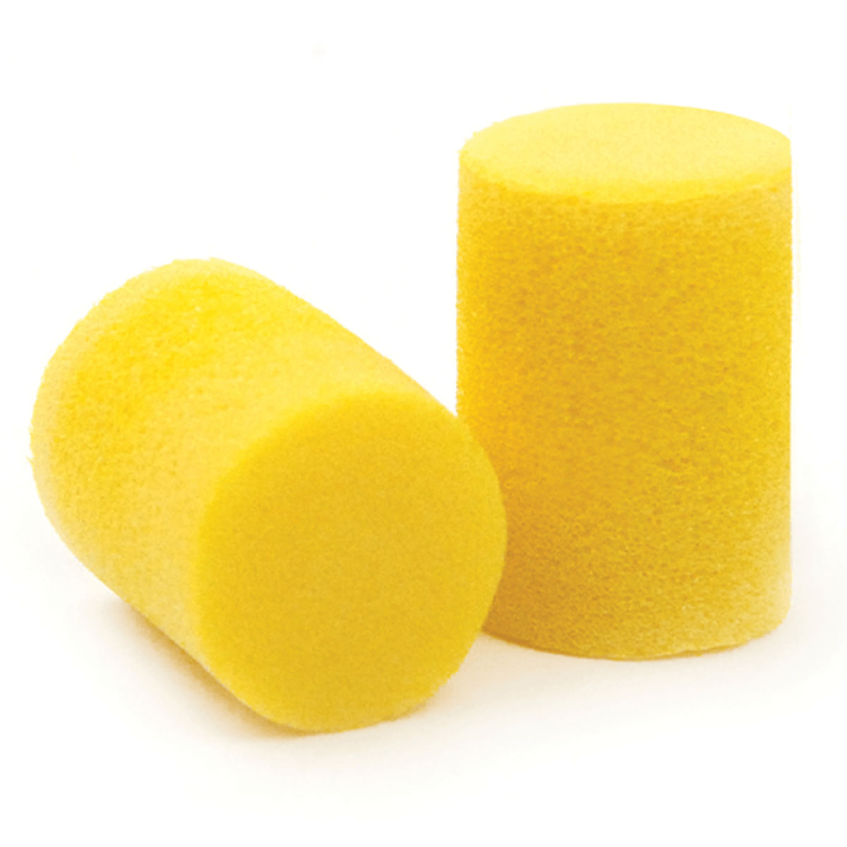 Planet Waves, Earplugs, Foam, Pair PWEP1