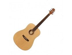 Ashton acoustic electric guitar outlet