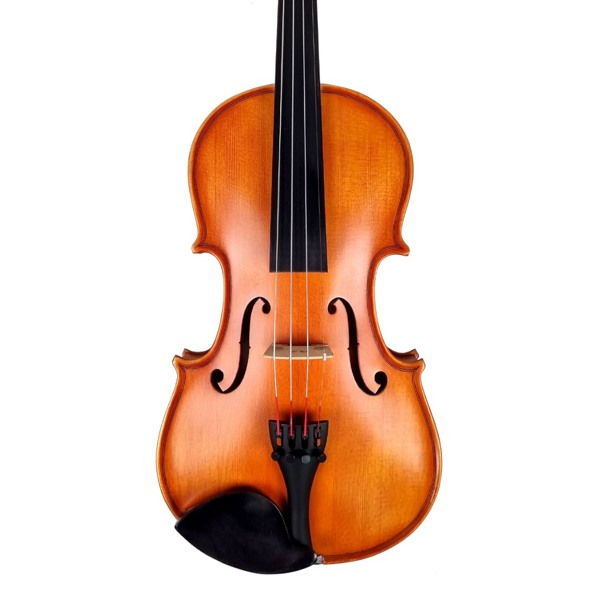 Hidersine, Violin Vivente 4/4 Outfit 3180A