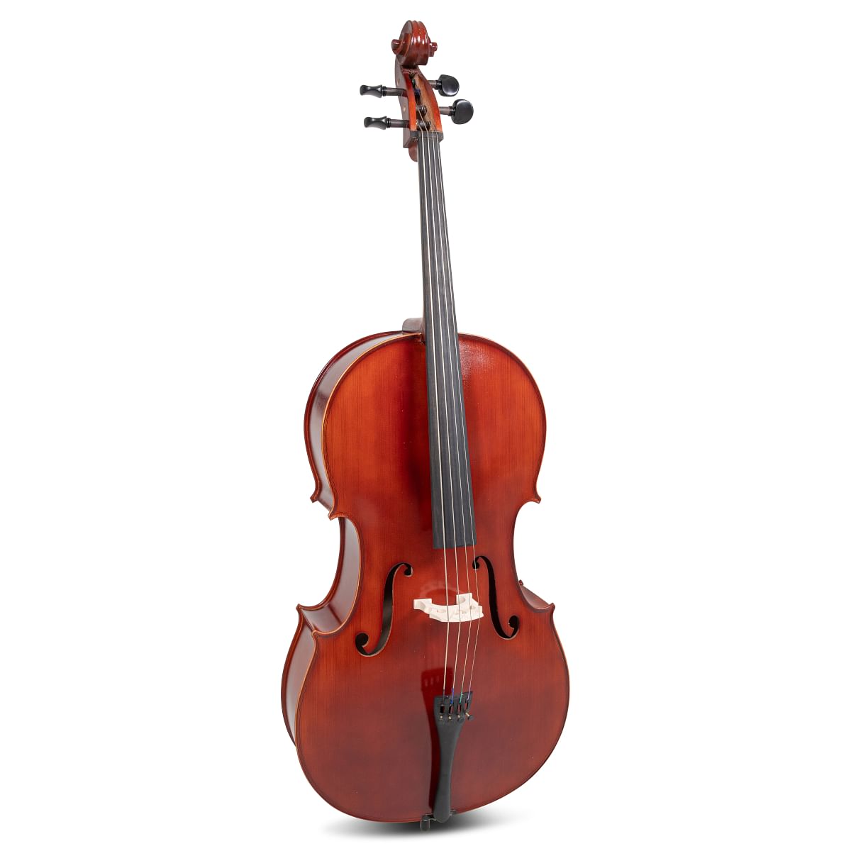 Which family does the cello belong to deals
