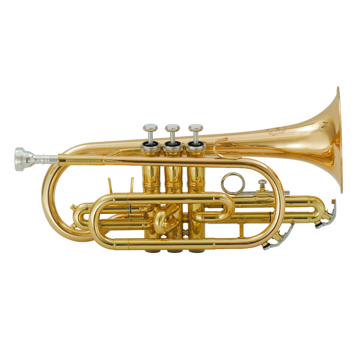Chateau, Cornet, Bb, VCH-505COJ/PSB, Lacquered