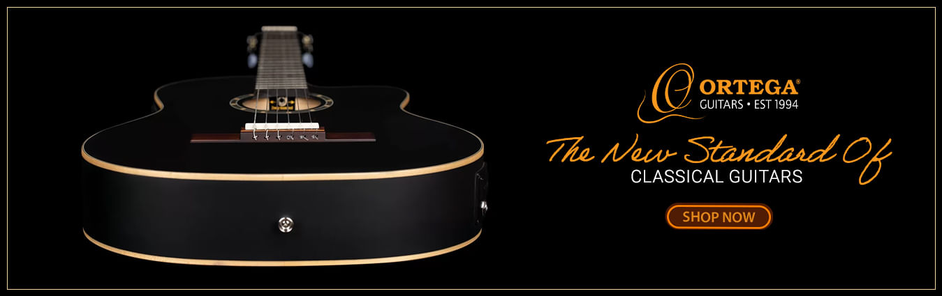 Ortega Web Banner